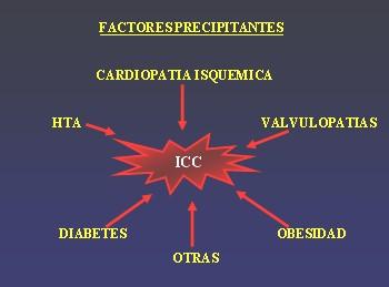 Además, la ICC suele activar mecanismos compensadores neurohormonales: - aumenta la actividad simpática para intentar mantener el volumen