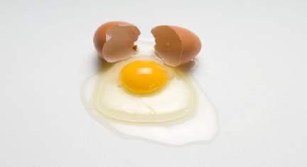 Calidad de Huevo: Un