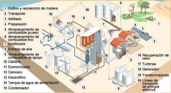 Font d energia que BIOMASSA La biomassa és el resultat del procés de transformació que pateix la matèria orgànica animal o vegetal, i és utilitzat com a combustible.