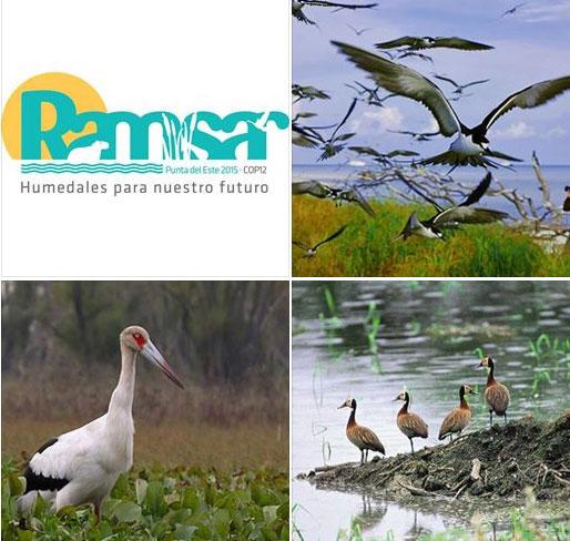 Qué es la Convención de Ramsar sobre los Humedales?