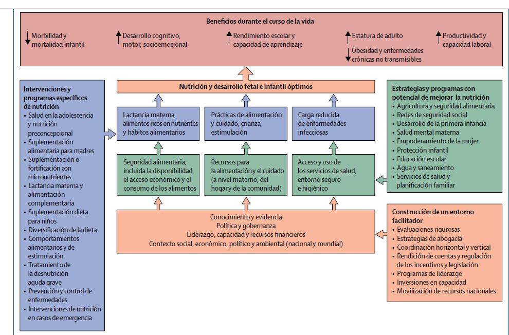 Marco de las medidas para lograr una nutricion y desarrollo infantil optimos 12 Lancet: http://www.jhsph.