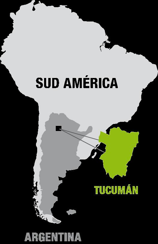 Provincia de Tucumán Superficie 22.524 km 2 Población 1.500.
