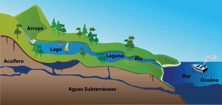 Cómo se encuentra el agua en la superficie del planeta? Grado 4 ...