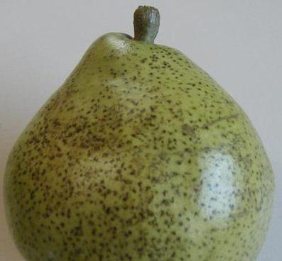 Pecas negras (Black speck) Especies que afecta: la variedad de pera mas susceptible es Beurré D'Anjou.