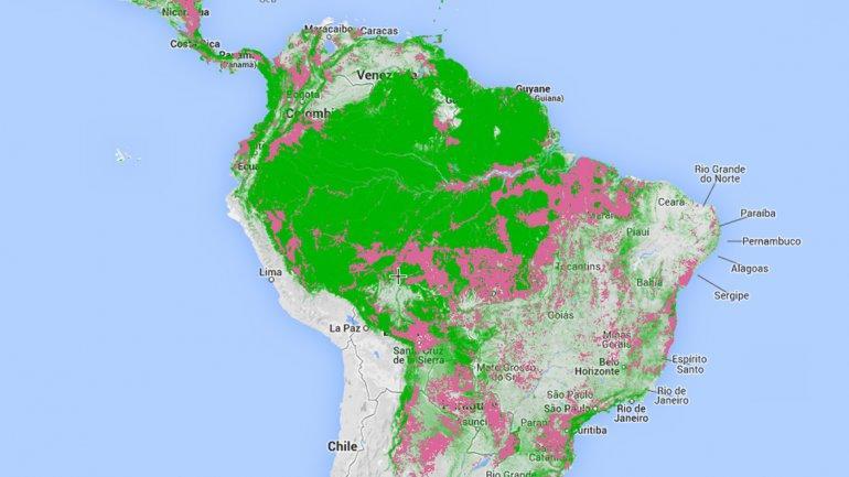 Consecuencias Concretas: BOSQUE Y AGRICULTURA Peligro de extinción de flora y fauna biodiversa en la Amazonía.