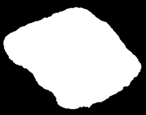 descripción detallada de la roca ACTIVIDAD Nº 8 Identificar y describir de forma detallada las características físicas