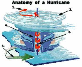 Anatomía de un huracán. 1- Aire cálido que sale por la parte superior del huracán. 2- bandas espirales. 3-Pared del ojo. 4-Ojo del huracán. 5- aire cálido que gira ciclónicamente.
