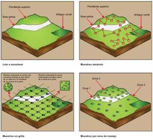 Reussi Calvo (2012) Diferentes aproximaciones al muestreo de suelos TIPO DE ANÁLISIS DE SUELO Macronutrientes Bases intercambiables Materia orgánica