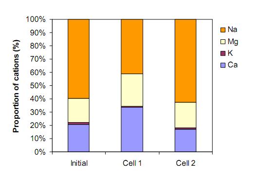 11.1 Intercambio iónico en Trisoplast Cell-1 En la Cell-1 se incrementa la relación Ca ++ /Na +, como