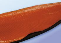 salmón ahumado bandeja