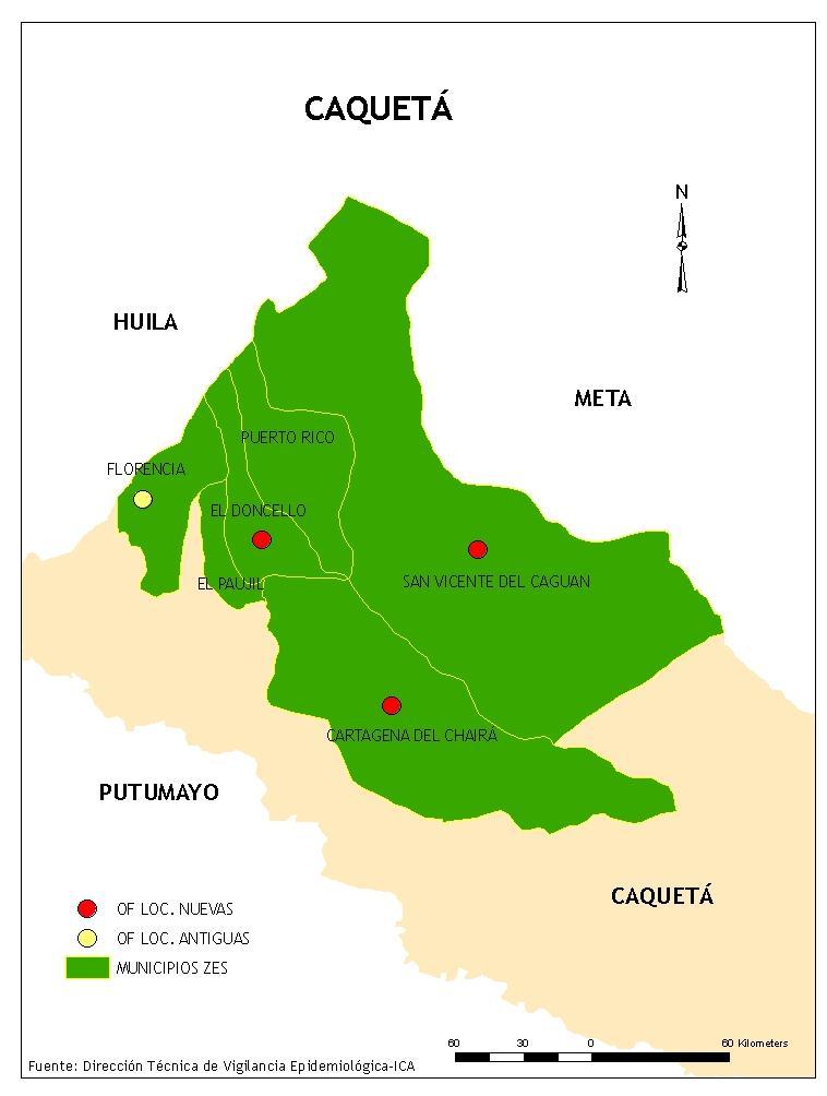 Figura 11.- Zona Carne Caquetá (Z4Carne) 4.1.1. Población animal y movilización de bovinos Z4Carne En zona Z4Carne la especie bovina cuenta con 1.045.647 animales, ubicados en 8.