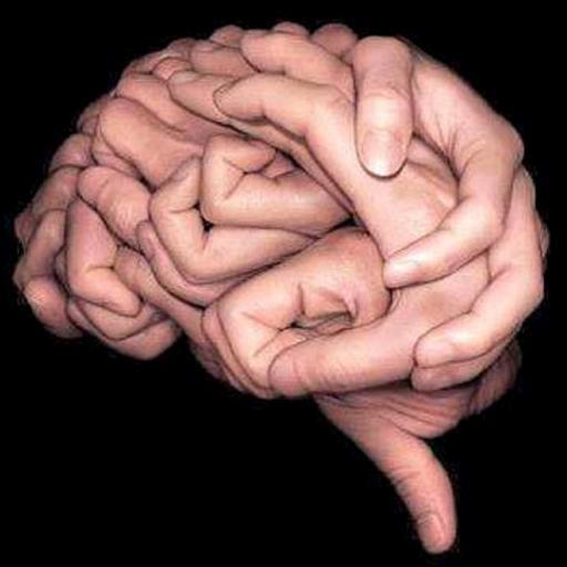 2. Conexión entre la evolución de la mano y la evolución del cerebro humano.