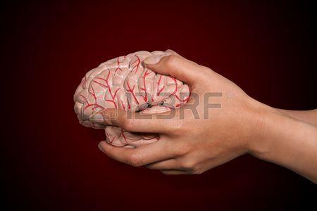3. Representación de las manos en el Las manos están tan ampliamente representadas en el cerebro, sus elementos neurológicos y biomecánicos son tan propensos a la interacción y la reorganización