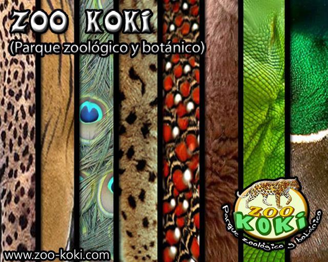 Quiénes somos Zoo Koki nace de la ilusión y de la pasión por la fauna y la flora.