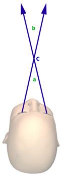 Disparidad retinal (ii) Distancia entre puntos homólogos Disparidad nula (c) negativa (a) positiva (b)