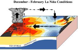 Durante El Niño Se calienta el Pacifico este Condiciones normales Decrece el gradiente de TSM y