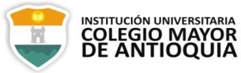 Sostenibilidad Facultad de Arquitectura e Ingeniería Institución Universitaria Colegio Mayor de Antioquia