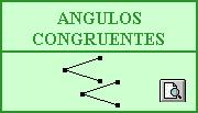 Bisectriz.- Bisectriz de un ángulo, es un rayo que partiendo del vértice divide al ángulo en dos ángulos iguales.