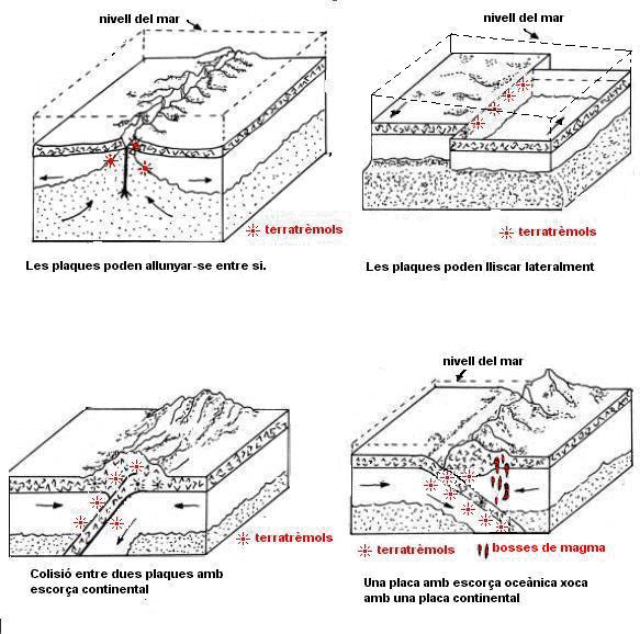 Després de la comparació, contesteu les següents qüestions : Observeu alguna relació entre el mapa de la distribució de terratrèmols i el que mostra la situació de les plaques tectòniques?