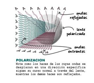 POLARIZADOS Basados en el principio físico de polarización de las ondas luminosas, logra reducir en gran cantidad los reflejos ocasionados por agua, nieve, superficies metálicas brillantes y