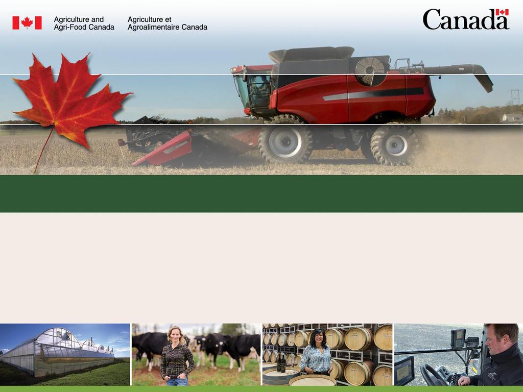 Programa de la Ley Canadiense de préstamos agropecuarios (The Canadian Agricultural Loans Act (CALA)