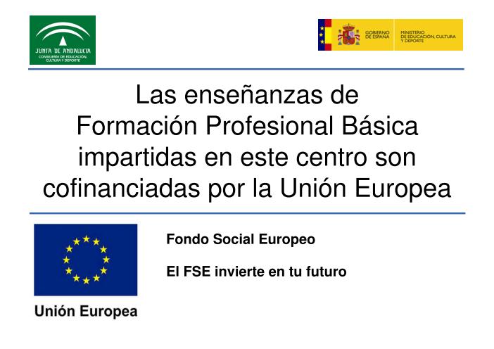 Establecido en el sistema educativo español en el Real Decreto 177/2008, de 8 de Febrero, por el que se establece el título de Técnico en Instalaciones de Telecomunicación y se fijan sus enseñanzas