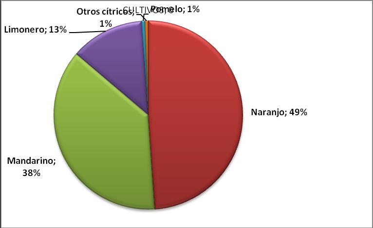 El naranjo supone el 49% de la superficie total de cítricos (media 2013-2015), seguida del grupo mandarino con un 37%. Gráfico 4. Distribución de la superficie de cítricos por especies.