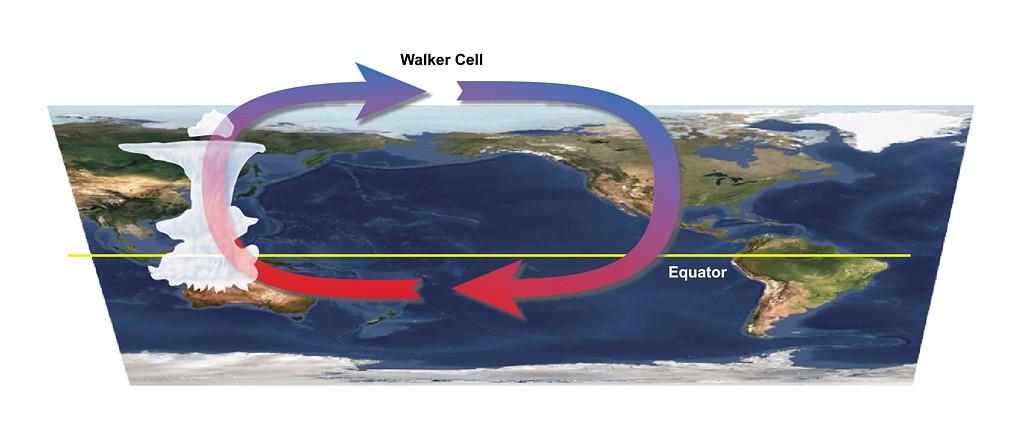 En las cálidas aguas del Pacífico oeste existe un movimiento de ascenso de aire generando nubes convectivas.