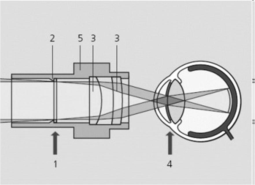 Microscopio: Z- profundidad de campo Microscopio: lente ocular Micrómetro ocular 1- Imagen intermedia ( y posición del retículo) 2- Límite
