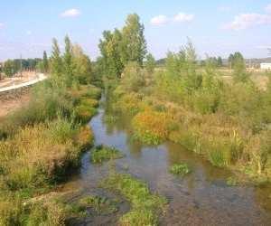 FICHA DESCRIPTIVA DE MEDIDAS PARTICULARES Ejecución de proyecto de restauración fluvial mediante infraestructura verde (retirada/retranqueo) de motas en el río Ucero Aplicada en: Código medida 14.01.