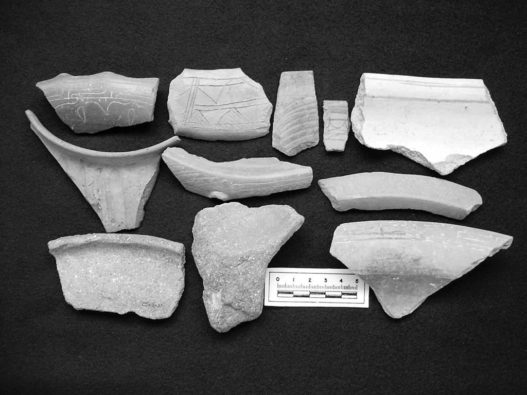 60 tan tipos locales, como es el caso de las cerámicas tanware de la zona de Nochixtlán [Spores, 1972], combinados con frecuencias más bien bajas de cerámicas de pasta gris fina semejantes a las del