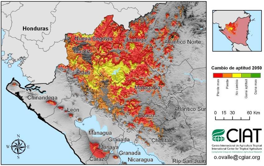 Cambio Climático y Agricultura Impactos Aumentos en las temperaturas y las precipitaciones erráticas disminuirán los rendimientos de cultivos en muchas regiones Por ejemplo, café en Centroamérica: