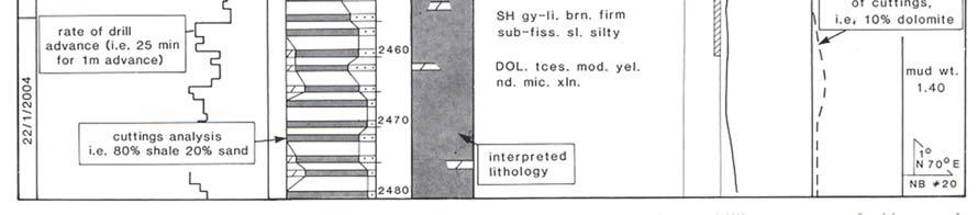 litología Indicación preliminar de la ubicación del pozo respecto a la estatigrafía