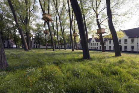 'Tree Huts in Bruges', la obra del japonés Tadashi Kawamata situada en el jardín interior del Begijnhof, del beaterio de Brujas.