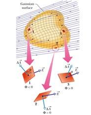 las áreas: Geometría no eucldana y dferencal Estadístca Teoría del potencal Magnetsmo terrestre Uno de los pocos centífcos