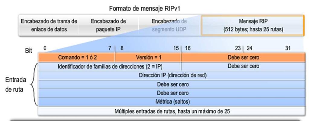 RIPv1 Formato del mensaje RIP Encabezado RIP: dividido
