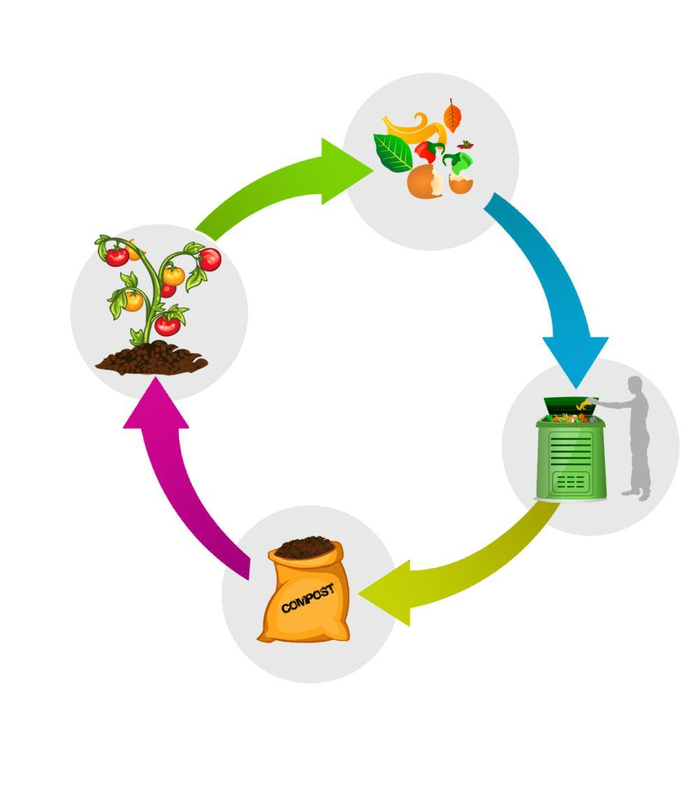 3. Guía de compostaje doméstico Qué es el compostaje?