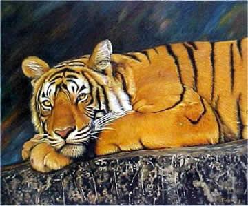 Tigre del sur de China Nombre científico: Panthera Tigris