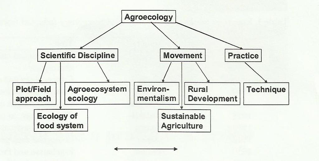 MAPA CONCEPTUAL Diversidad en los actuales significados de agroecología Agroecología Disciplina Científica Movimiento Práctica Enfoque Parcela/Campo Ecología de los agroecosistemas Ambientalismo