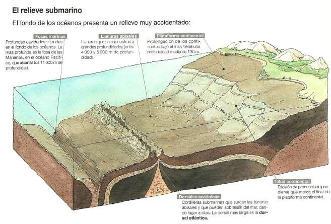 3.3. El relieve submarino Entre las formas de relieve submarino tenemos: La plataforma continental. Es una prolongación de los continentes bajo las aguas marinas.