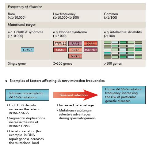 4. Futuras Herramientas de Diagnóstico: Secuenciación Masiva (o NGS) Las mutaciones relacionadas con el autismo podrían ser variantes raras presentes en la población sana.