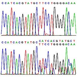 (puntuales, inserciones, deleciones ) - Generan cambios en la estructura o en la producción de un gen, alterando su funcionamiento -