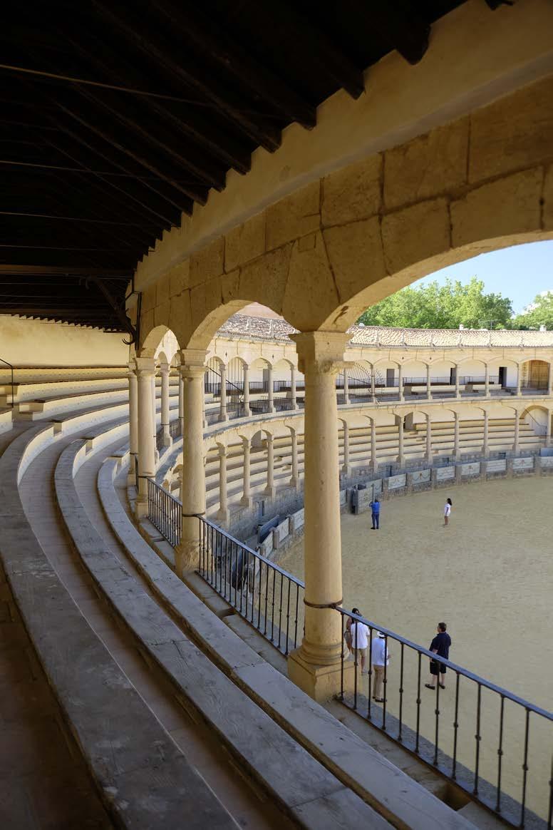Programa Día 1 - PASEO POR SEVILLA REUNIÓN DEL GRUPO EN SEVILLA Visita a los Alcázares.