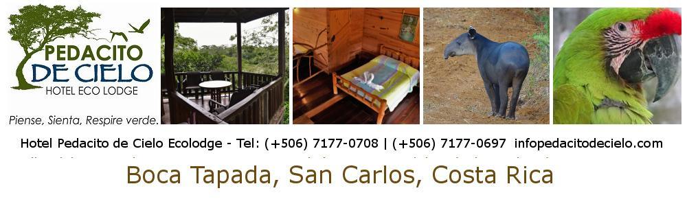 Explorando las llanuras del Norte de San Carlos El Hotel se situa al lado del Río San Carlos y cuenta con bungalows privados, que vienen