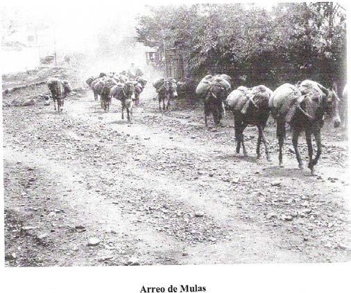 Resultado de imagen para grandes arreos de mulas