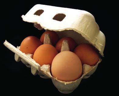 HUEVERA ALIMENTARIA FUNDAS, ESTUCHES Y BASES El estuche de celulosa moldeada para huevos