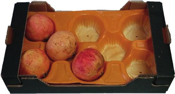 CAJA DE 50 x 30 Los alveolos para melones y granadas, fabricados en polipropileno (PP), permiten proteger cada pieza de manera individual durante el transporte, el almacenaje y la exposición, aunando