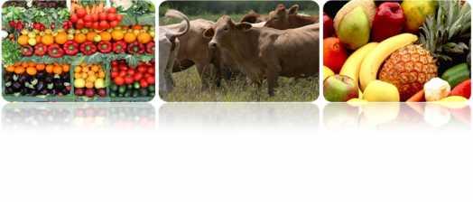 Informe Semanal de Comportamientos de Precios de los principales productos Agropecuarios