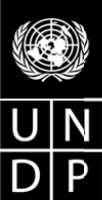 Programa de las Naciones Unidas Para el Desarrollo Oficina de Auditoría e Investigaciones MODELO DE