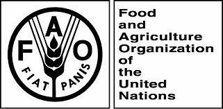 L'Organització de les Nacions Unides Les agències: FAO: Agricultura i